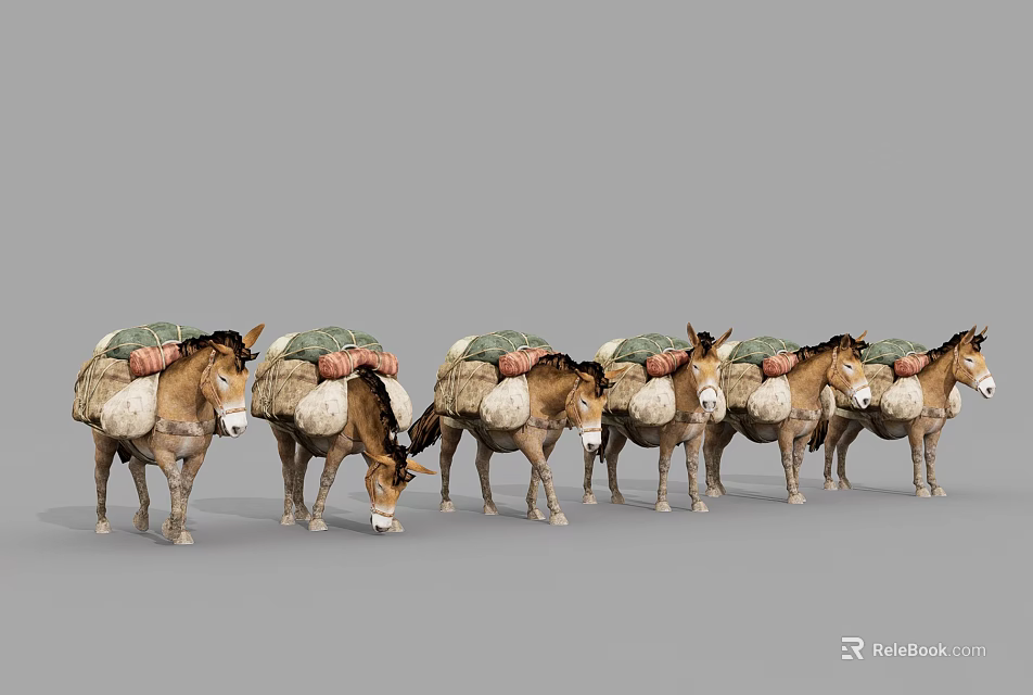 Group of Reptiles Carrying Loads on Their Backs in Natural Environment 3d model 