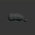 Detailed 3D Rhinoceros Model In Gray With Realistic Texture And Form