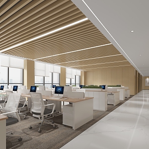 Opening Office 3d model