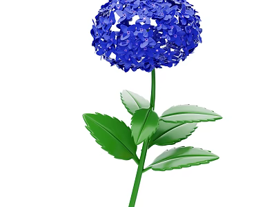 Vibrant Blue Hydrangea Plant With Green Stem And Fresh Leaves 3d model