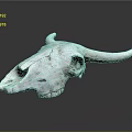 Detailed Bovine Skull With Textured Surface And Reflection On Dark Background 3d model