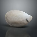 Smooth White Clam Shell With Natural Dark Patterns On Reflective Surface 3d model