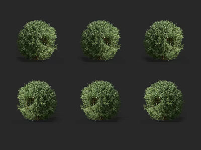 Six Green Round Shrubs with Spherical Shape on Dark Background 3d model