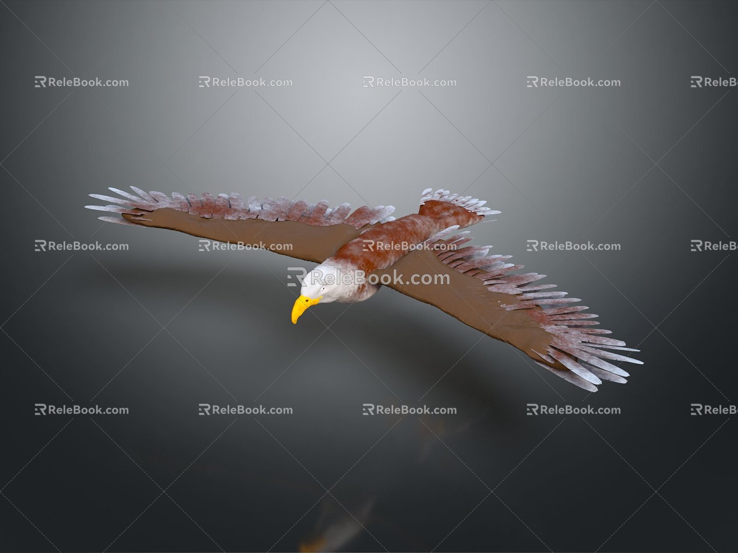 Modern Eagle Harris Eagle Chestnut-Winged Eagle 3d model