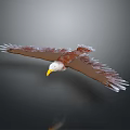 Flying Eagle With Spread Wings Brown Feathers And Yellow Beak On Gray Gradient Background 3d model