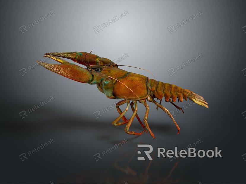 lobster big lobster crystal lobster cartoon lobster marine animal fish freshwater fish marine fish animal model