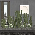 Cactus Bonsai Potted Plants In Modern Indoor Decor With Various Sizes And Natural Stone Base