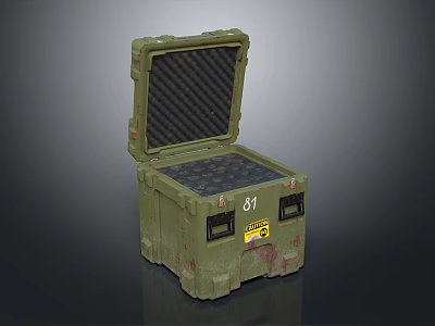 Green Military Weapon Case With Open Lid Number 81 Black Grid Lining And Yellow Label 3d model