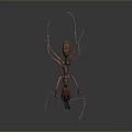 Detailed 3D Rendered Ant Close Up View Showing Body Antennae And Legs
