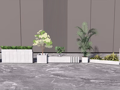 Bonsai and Potted Plants with Various Greenery in White Planters on Marble Floor 3d model