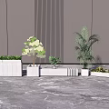 Bonsai and Potted Plants with Various Greenery in White Planters on Marble Floor