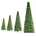 Tall Conical Arborvitae Trees With Lush Green Foliage In Garden Landscape