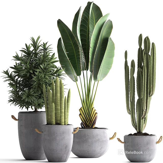 Decorative Plant Ornament Set Featuring Large Leaf Plant Cactus Shrub In Gray Rope Detail Pots 3d model 