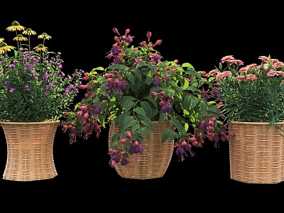 Bonsai Potted Plants in Woven Baskets with Purple Pink Yellow Flowers and Lush Green Leaves 3d model