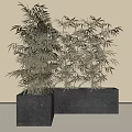 Modern Gray Square Tree Planter With Bamboo In Minimalist Interior Design