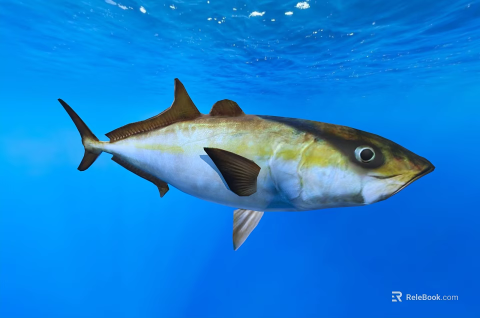 Graceful Tuna Swimming in Clear Blue Water with Yellow and White Body 3d model 