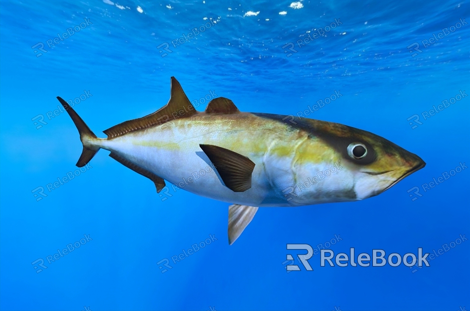 Yellow-tailed yellowtail fish aquatic organisms model