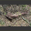 Natural Wooden Log Sculpture on Stone Base with Moss and Small Plants