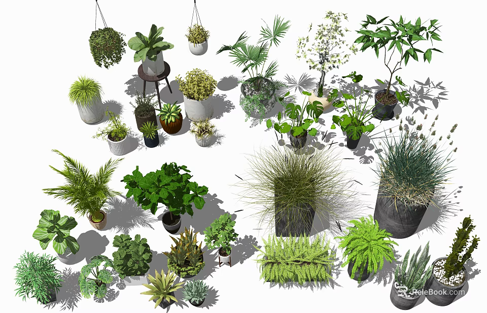 Various Bonsai and Potted Plants with Different Green Species and Styles 3d model 