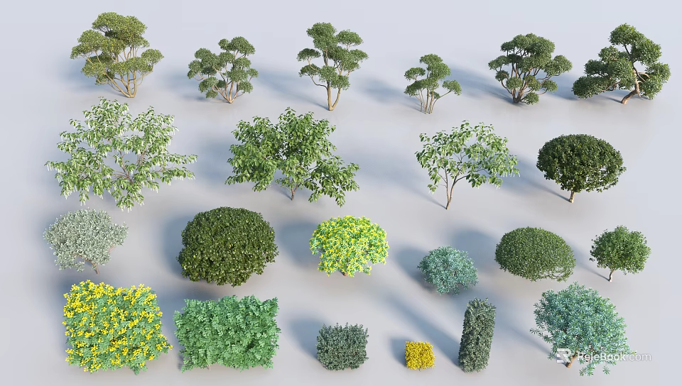 Various Types of Shrubs for Landscape Design with Different Shapes and Colors 3d model 