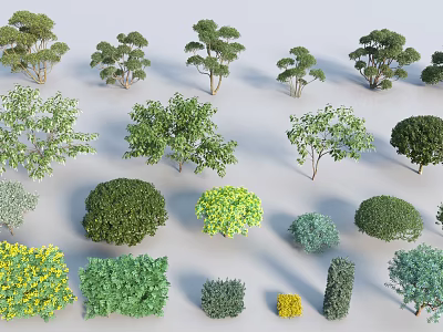 Various Types of Shrubs for Landscape Design with Different Shapes and Colors 3d model