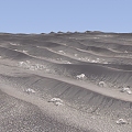 Dune Ground 3D Model 3d model