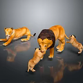 Lion Family Group With Adult Male Female And Playful Cubs On Reflective Surface