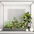 Glass Framed Indoor Landscape With Various Green Plants And Grid Pattern Wall Panel 3d model