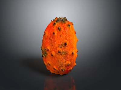 Orange Kiwano Fruit With Spiky Exterior And Black Protrusions On Gray Background With Reflection 3d model