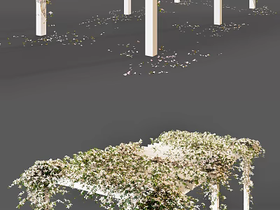 Garden Landscape Featuring White Pillars Vine Covered Pergola And Scattered Petals 3d model