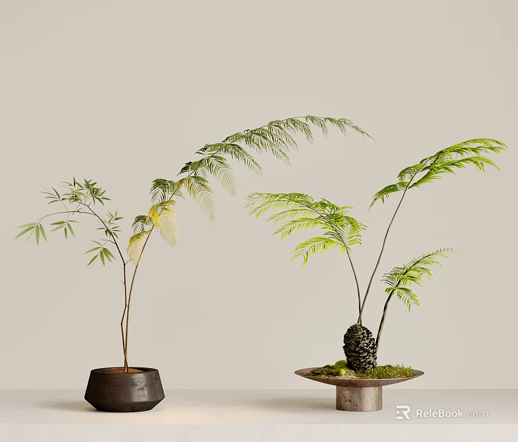 Elegant Green Fern And Bamboo Bonsai Potted Plants In Ceramic Pots With Stone Base For Home Decor 3d model 