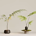 Elegant Green Fern And Bamboo Bonsai Potted Plants In Ceramic Pots With Stone Base For Home Decor