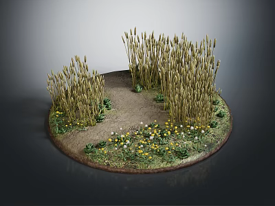 Wheat Crops in Circular Display with Pathway Yellow White Flowers and Green Grass 3d model