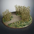 Wheat Crops in Circular Display with Pathway Yellow White Flowers and Green Grass