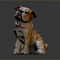 Bulldog Sculpture in Sitting Pose with White and Light Brown Color on Dark Background