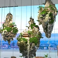 Stunning Hotel Lobby Interior With Hanging Rock Formations Green Plants And Large Windows