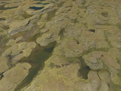Aerial View Of Natural Muddy Terrain With Water Pools And Green Vegetation 3d model