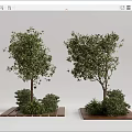 Modern Tree Pool Landscape Tree Pool 3d model