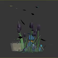 Colorful Aquarium Display With Purple Aquatic Plants Green Leaves Blue Decorations And Illuminated Base