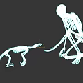 Human And Animal Skeleton Models In Interactive Pose On Black Background