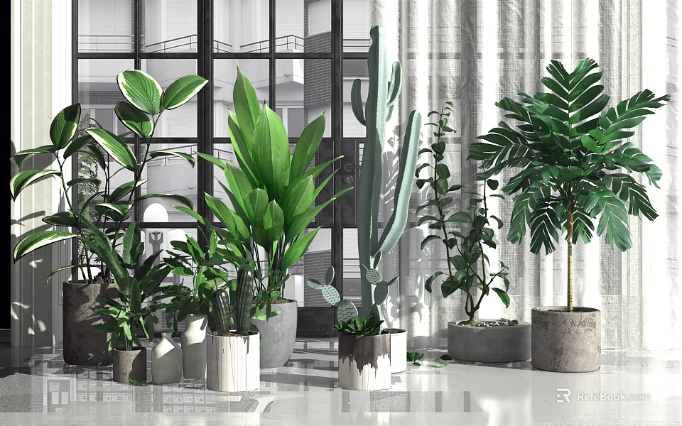 Indoor Decorative Potted Plants With Various Green Leaves And Ceramic Cement Pots 3d model 