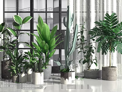 Indoor Decorative Potted Plants With Various Green Leaves And Ceramic Cement Pots 3d model