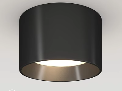 Black Round Downlight Spotlight Ceiling Mounted Modern Energy Efficient Lighting Fixture 3d model