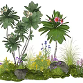 Lush Garden Setting With Assorted Colorful Flowers Green Plants Grass And Stones