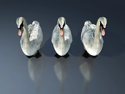 The Modern Duck 3d model