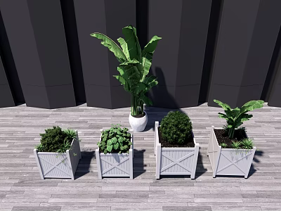 Various Green Potted Plants In White Planters On Wooden Floor With Dark Wall 3d model