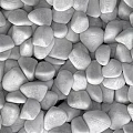 Silver White Smooth Pebbles As Garden Decor For Landscaping And Outdoor Design