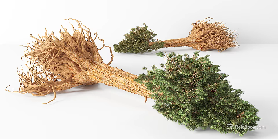 Multiple Arbor Trees With Detailed Root Systems And Lush Green Foliage 3d model