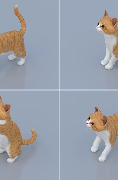 Cat Orange Cat Smokie Cat Pet Cat Cat Cat with Binding and Animation 3d model