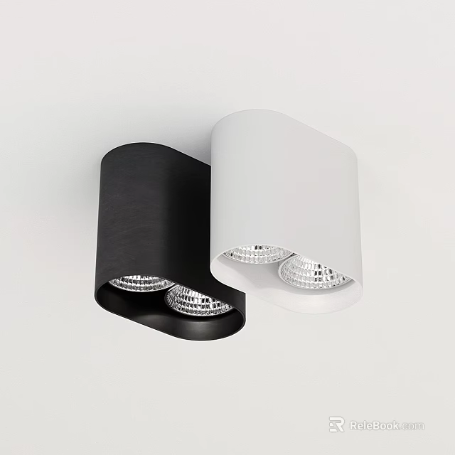 Modern Black And White Downlights Spotlights With Double Bulb Ceiling Mounted Design 3d model